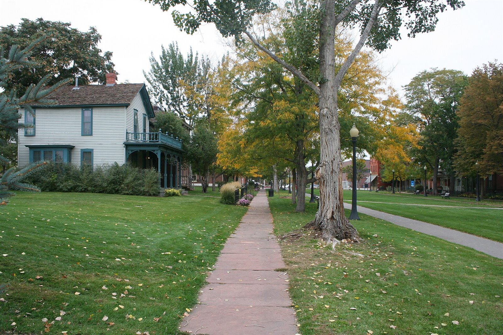 A historic residential street in Denver